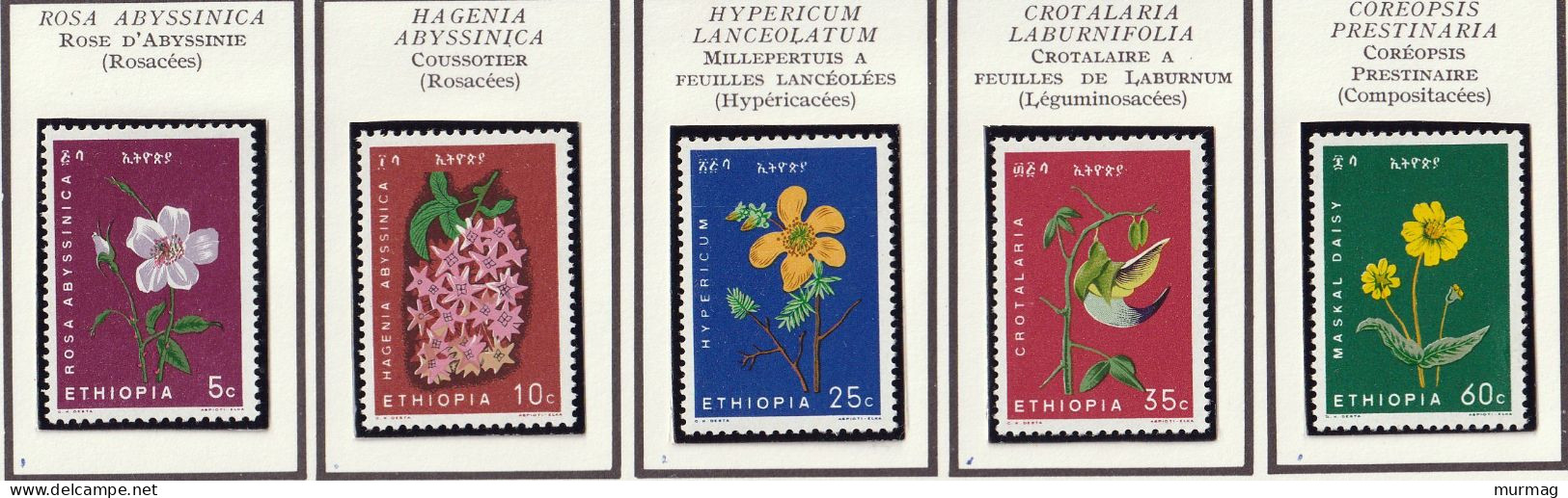 ETHIOPIE - Fleurs, Rose, Coussotier, Millepertuis, Crotalaire, Coréopsis - Y&T N° 440-444 - 1965 - MNH - Etiopía