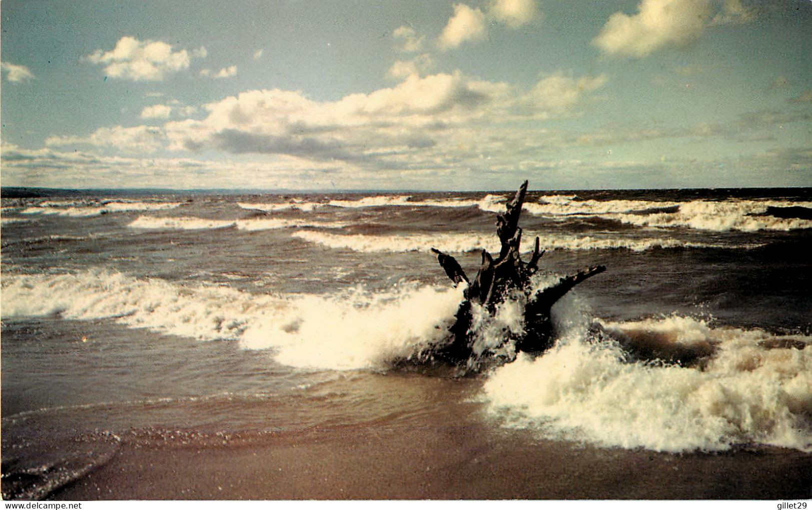 ST JÉRÔME DE MÉTABETCHOUAN, QUÉBEC - PLAGE BANC DE SABLE - VUE DU LAC ST JEAN - PHOTO ROBERT CÔTÉ - - Sonstige & Ohne Zuordnung