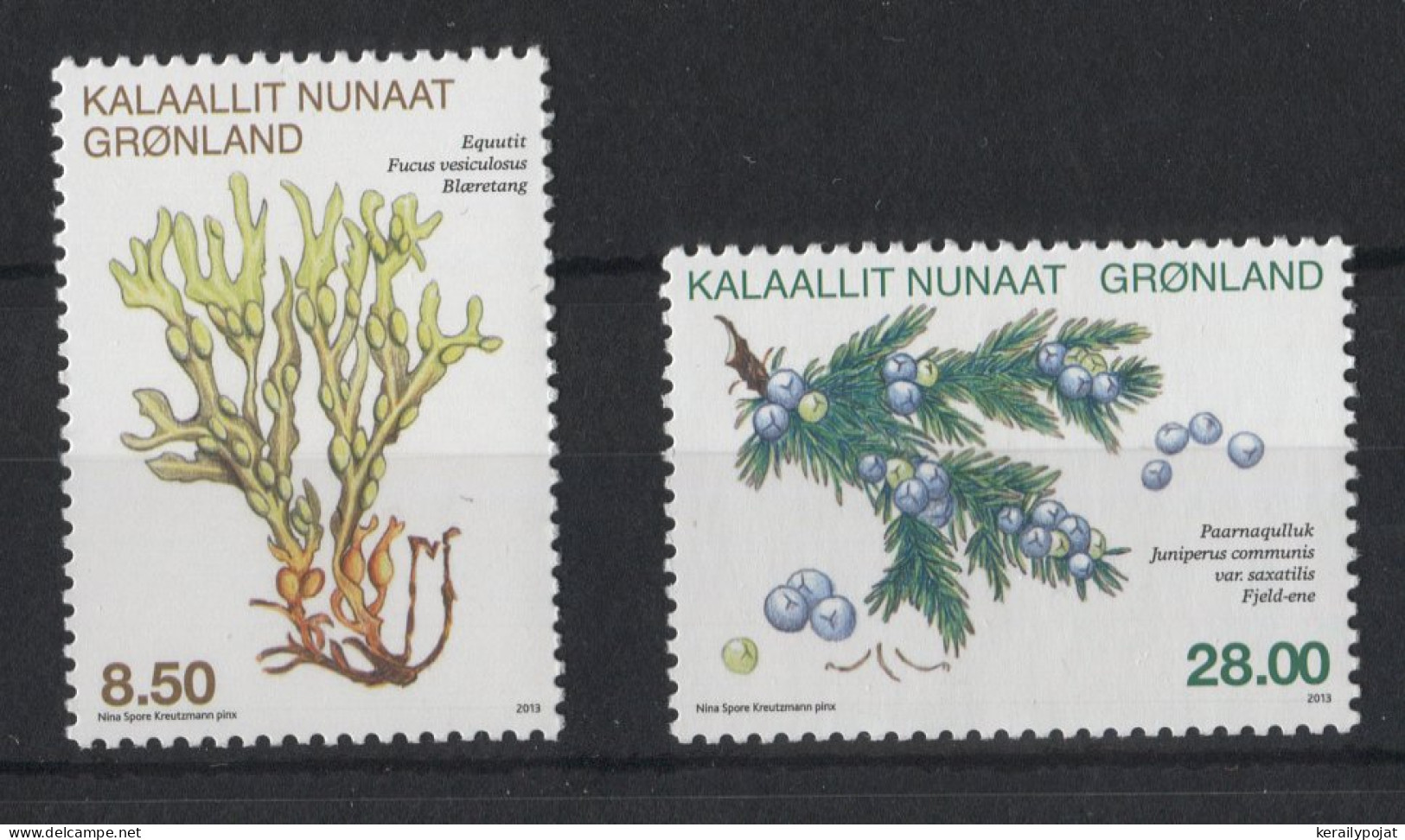 Greenland - 2013 Native Aromatic Plants MNH__(TH-23136) - Ungebraucht