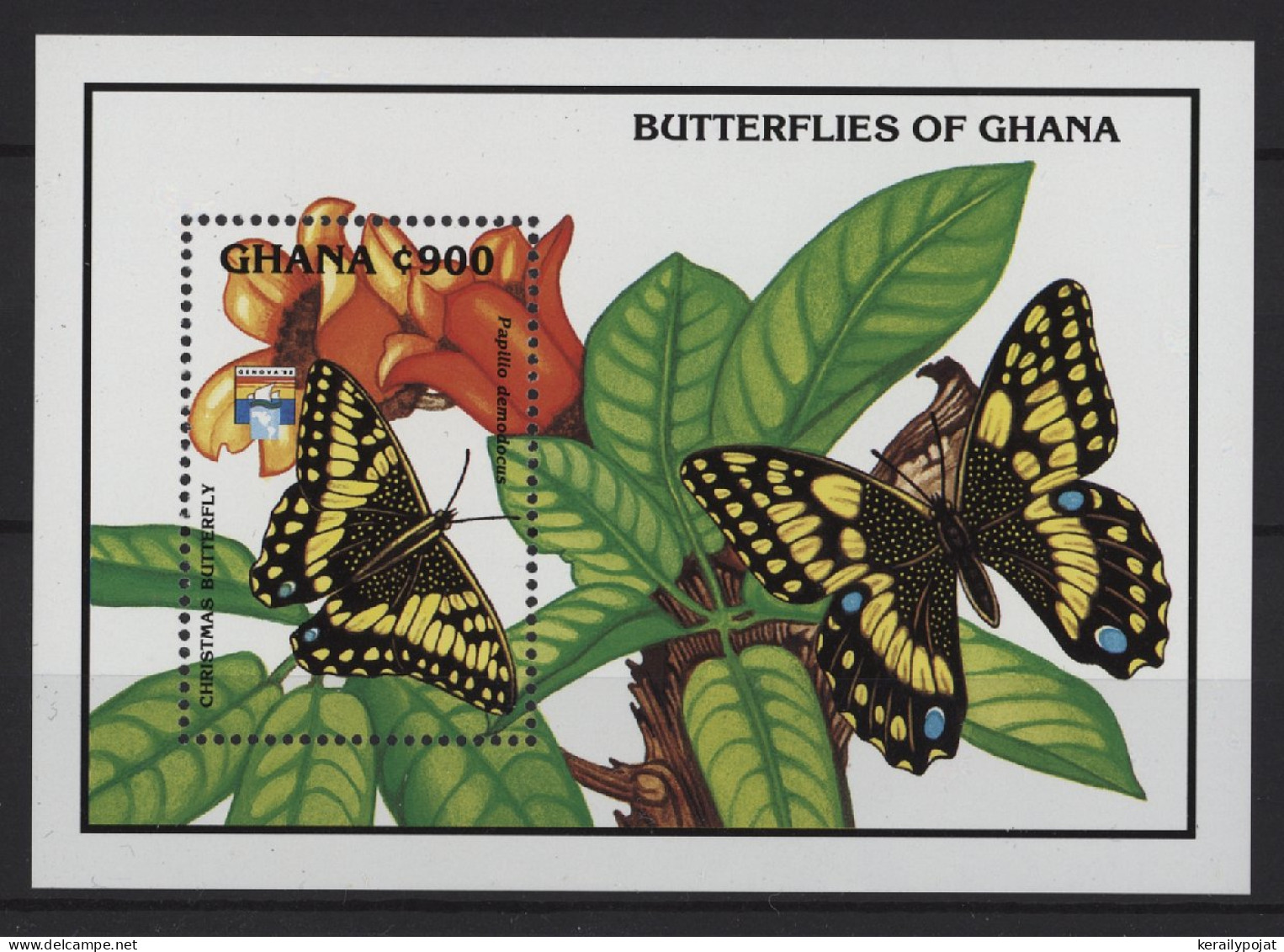 Ghana - 1992 Butterflies Block (1) MNH__(TH-26838) - Ghana (1957-...)