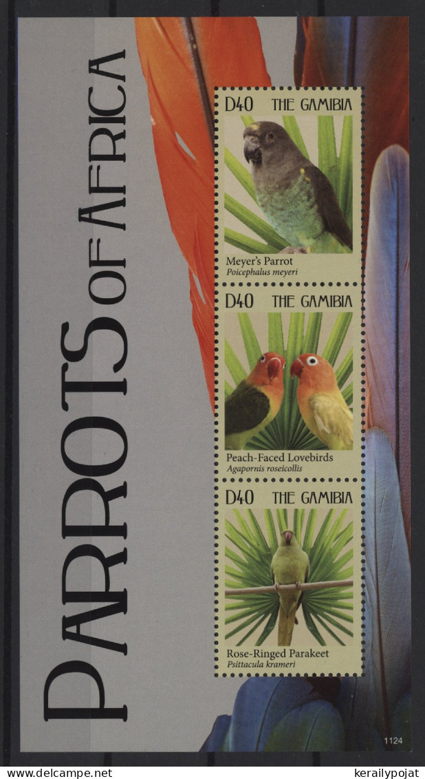 Gambia - 2011 African Parrots Kleinbogen (1) MNH__(TH-27162) - Gambie (1965-...)