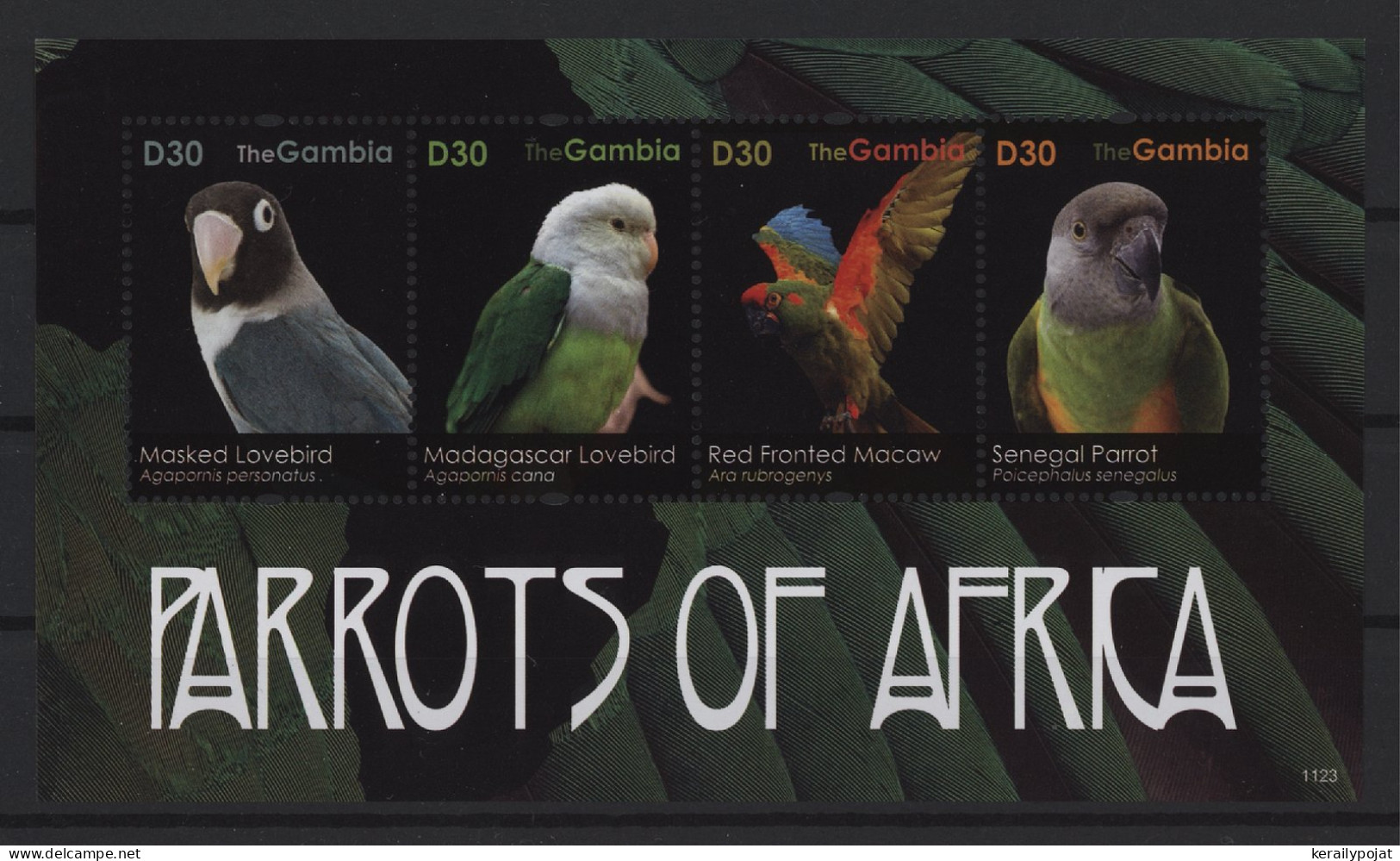 Gambia - 2011 African Parrots Kleinbogen (1) MNH__(TH-27161) - Gambie (1965-...)