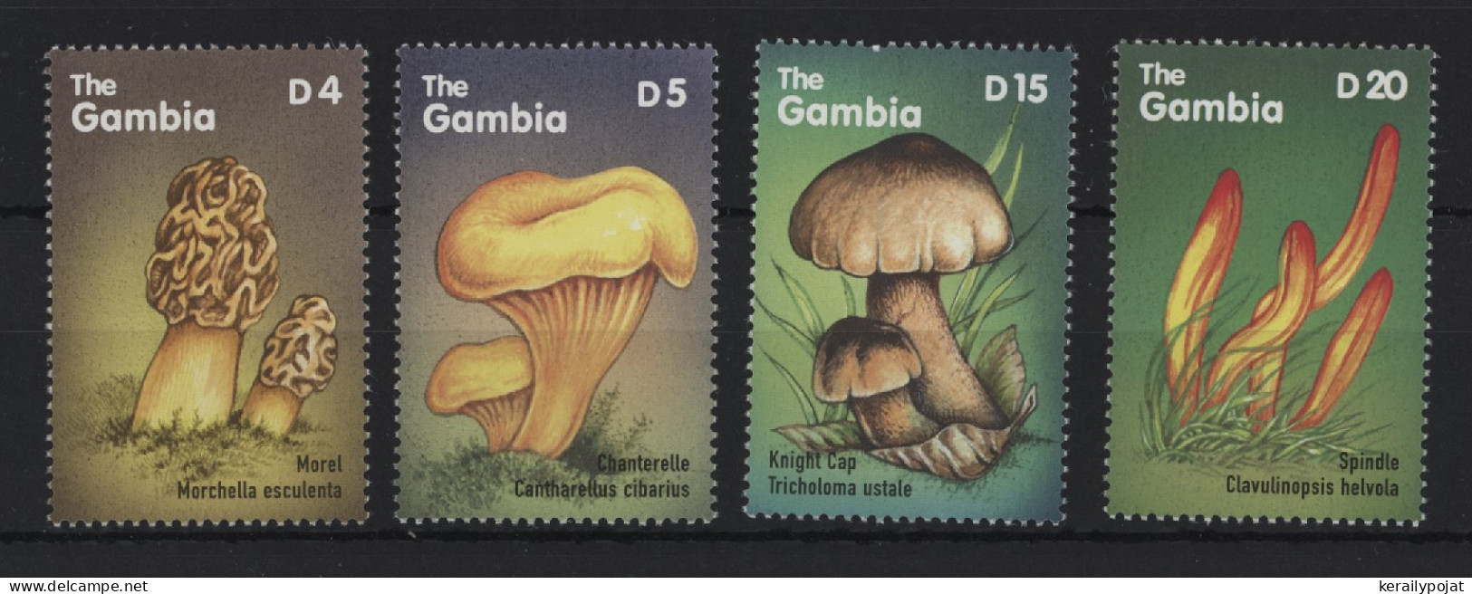 Gambia - 2000 Mushrooms MNH__(TH-24376) - Gambia (1965-...)