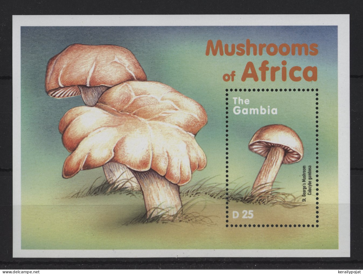 Gambia - 2000 Mushrooms Block (2) MNH__(TH-24378) - Gambie (1965-...)