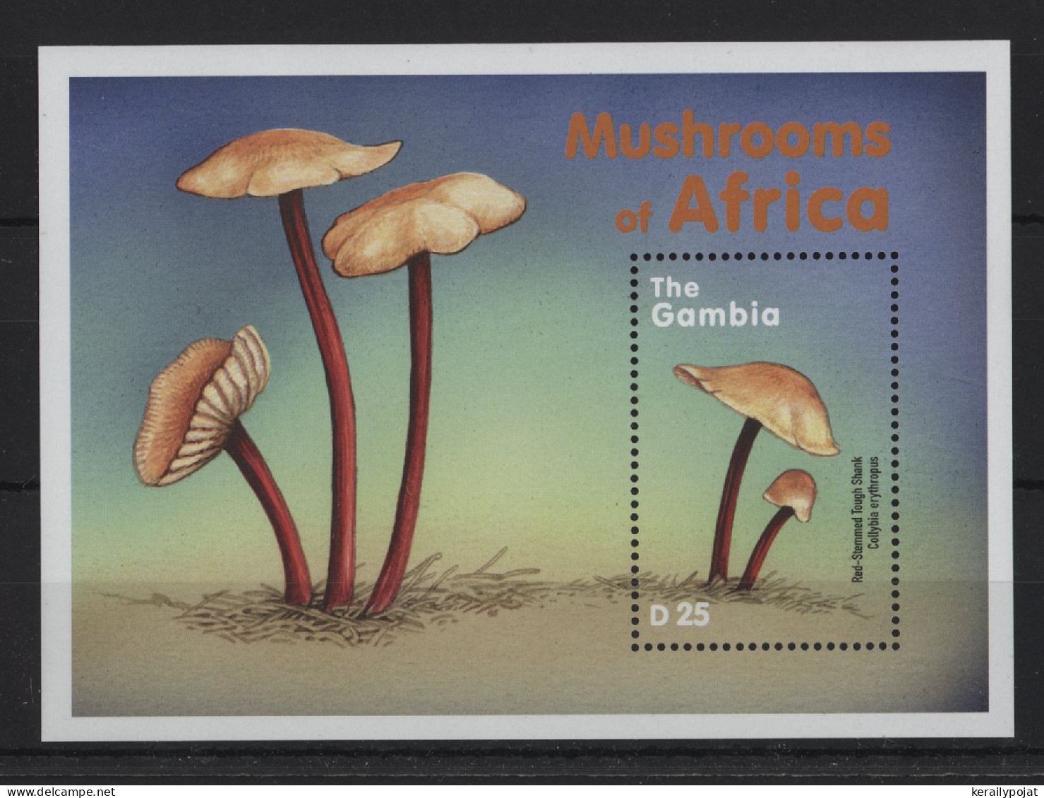 Gambia - 2000 Mushrooms Block (1) MNH__(TH-24377) - Gambia (1965-...)