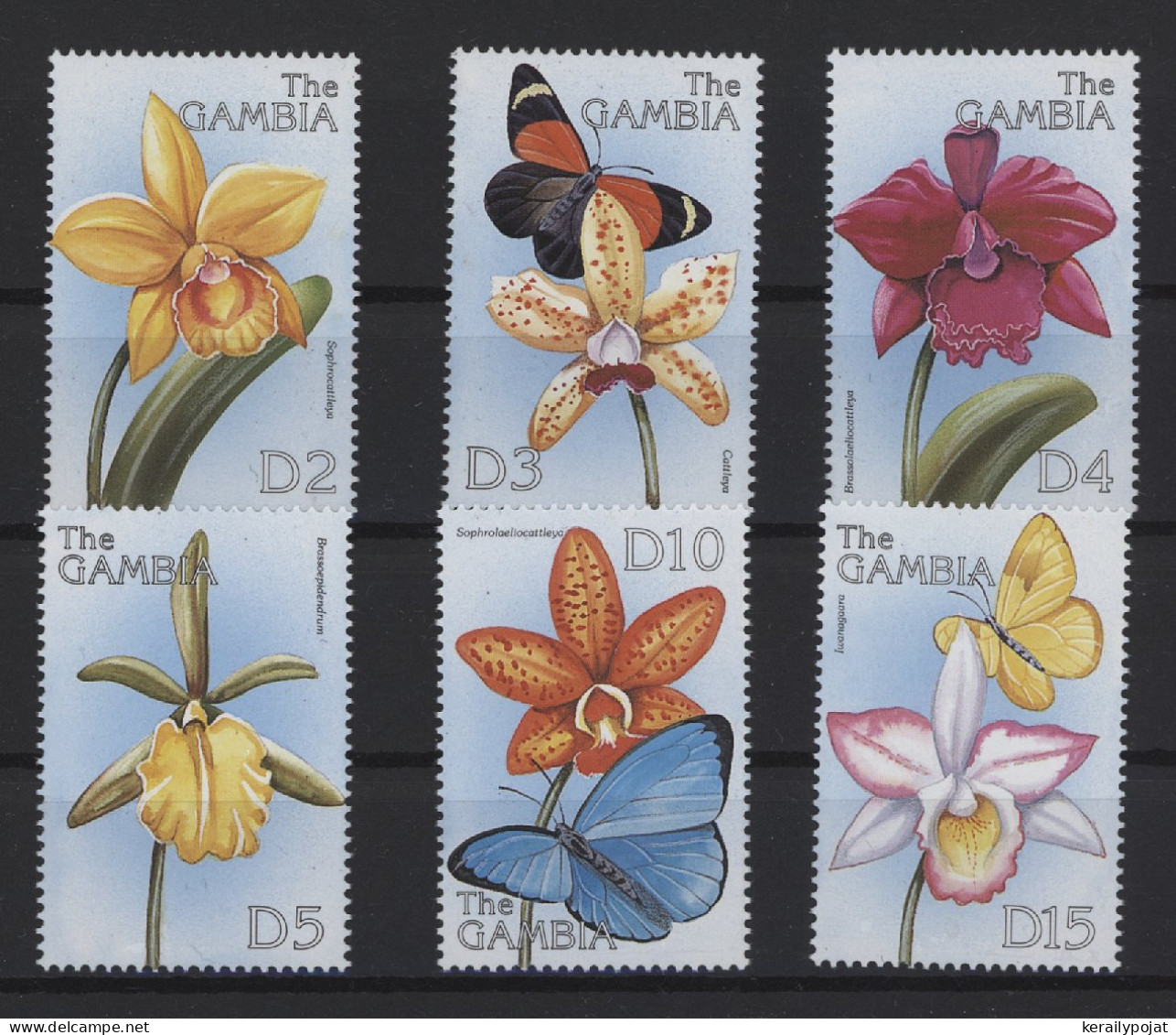 Gambia - 1999 Orchids MNH__(TH-25100) - Gambia (1965-...)