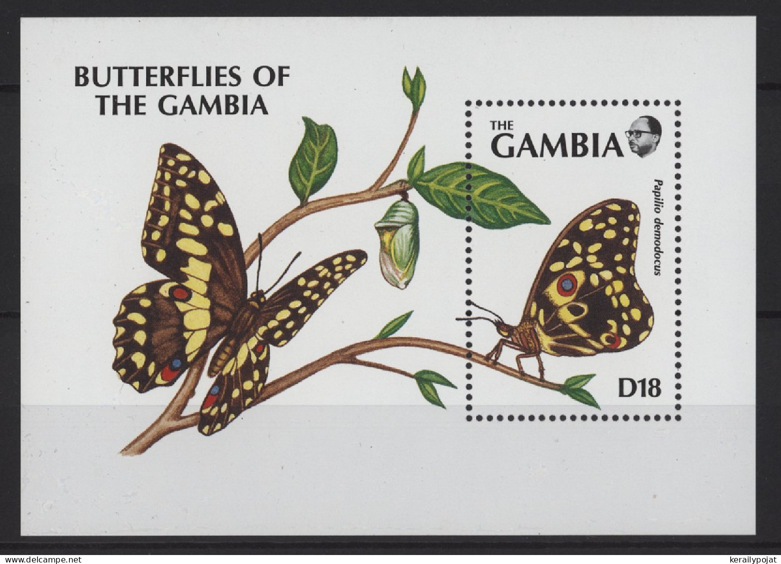 Gambia - 1991 Butterflies Block (2) MNH__(TH-26832) - Gambie (1965-...)