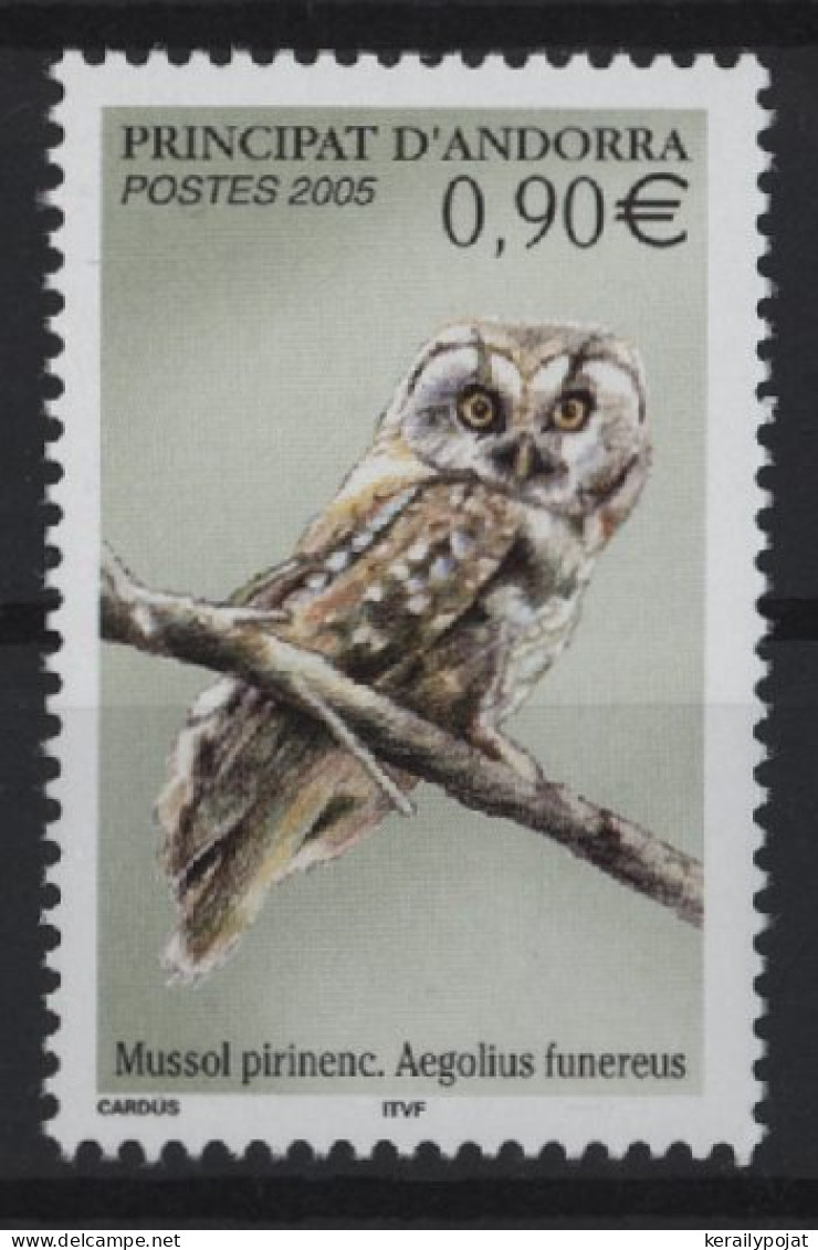 French Andorra - 2005 Rough-legged Owl MNH__(TH-27170) - Unused Stamps