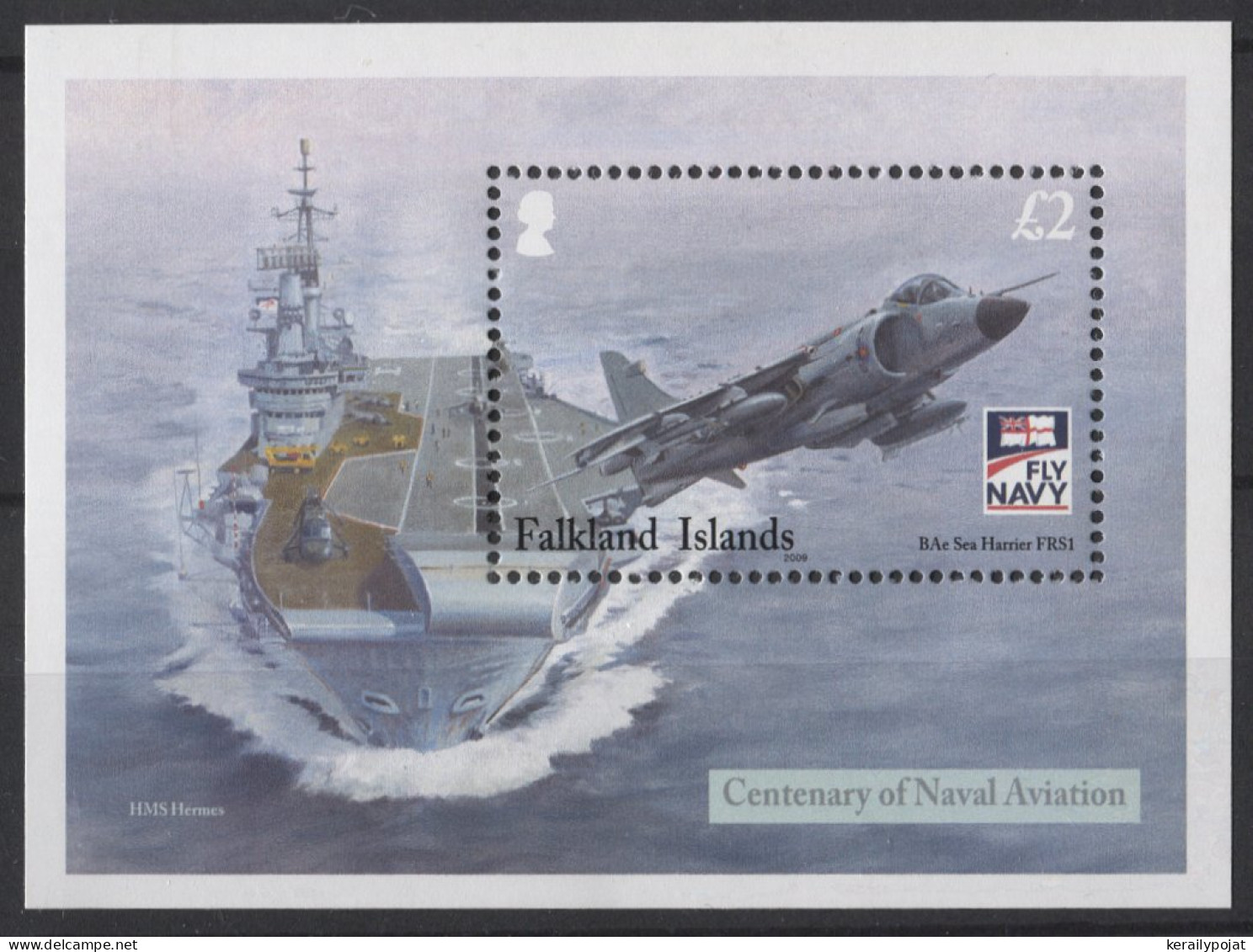 Falkland Islands - 2009 British Naval Aviation Block MNH__(TH-26488) - Falklandeilanden