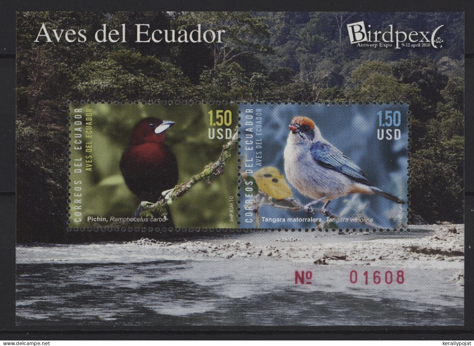 Ecuador - 2010 Native Birds Block MNH__(TH-27023) - Ecuador