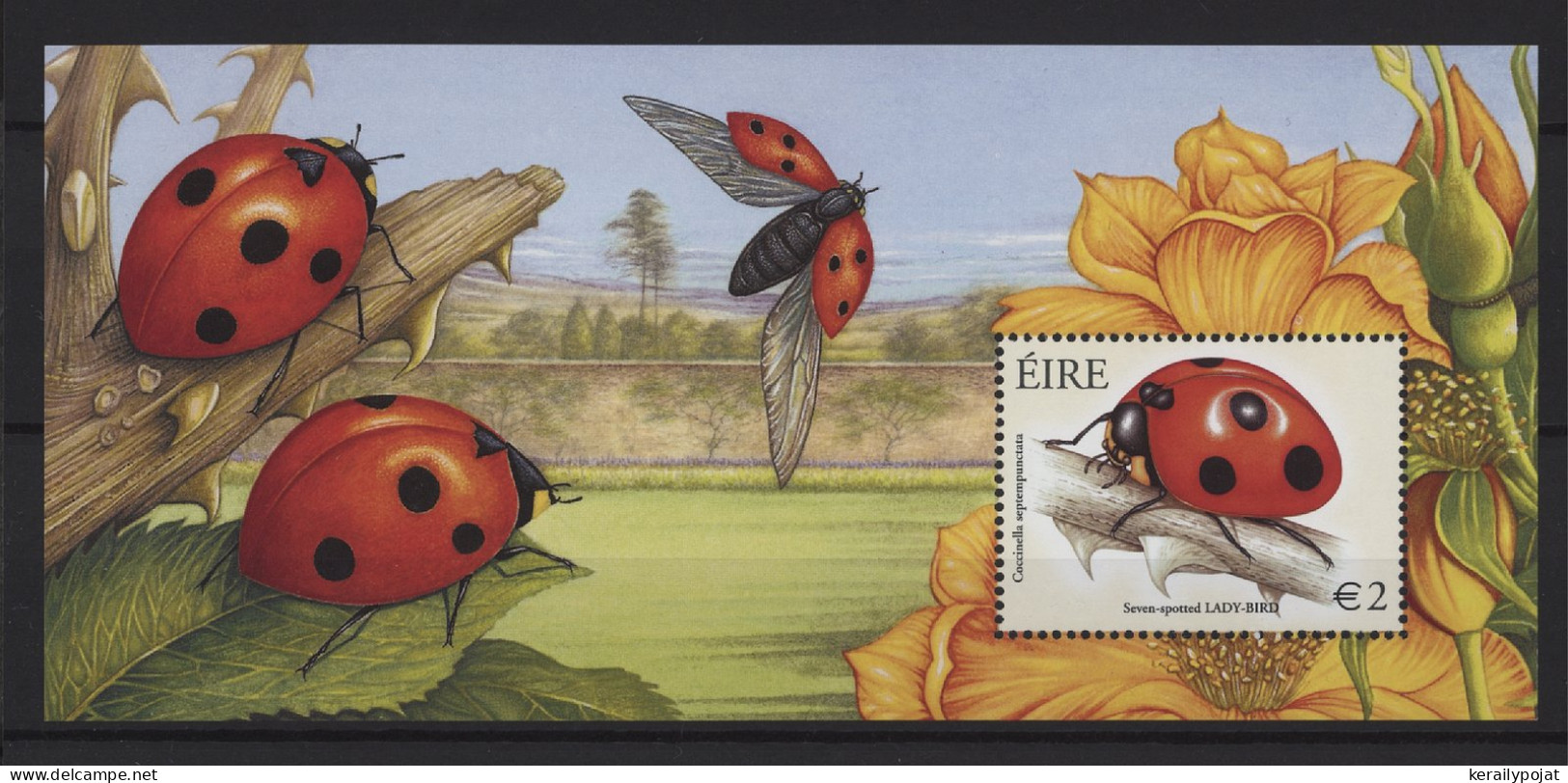 Ireland - 2003 Native Beetles Block MNH__(TH-25953) - Blocks & Kleinbögen