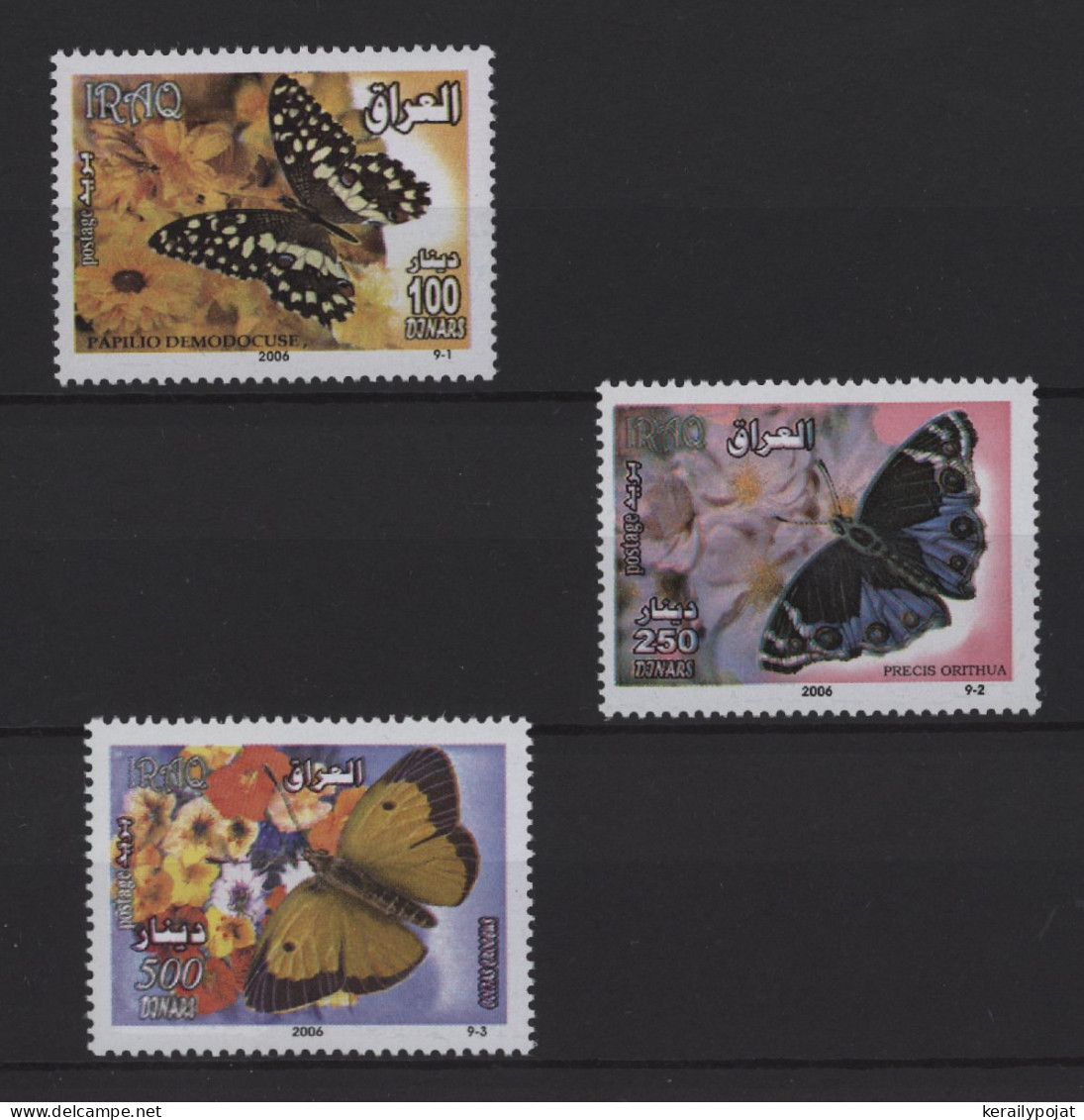 Iraq - 2007 Butterflies MNH__(TH-26893) - Iraq