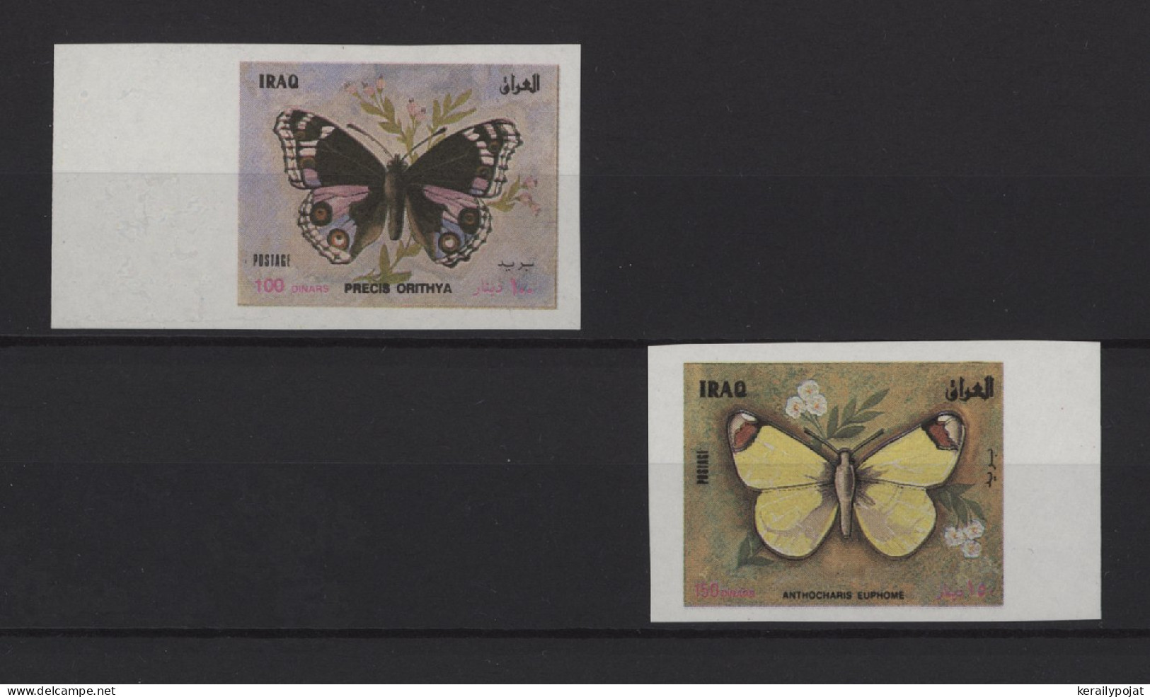 Iraq - 1998 Butterflies IMPERFORATE MNH__(TH-26894) - Iraq