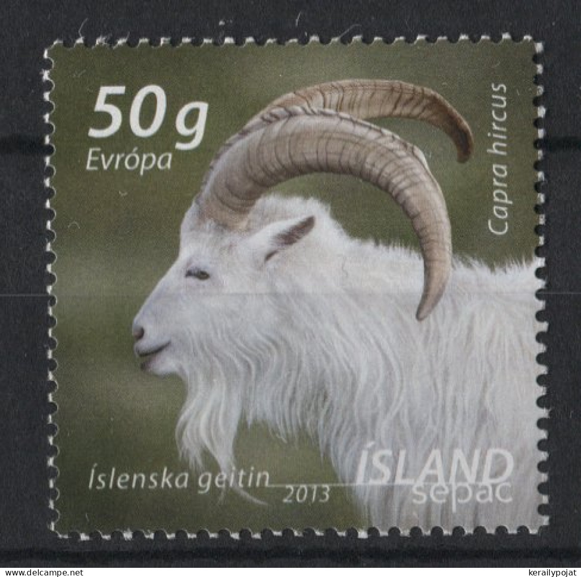 Iceland - 2013 Icelandic Settler Goat MNH__(TH-23122) - Nuevos