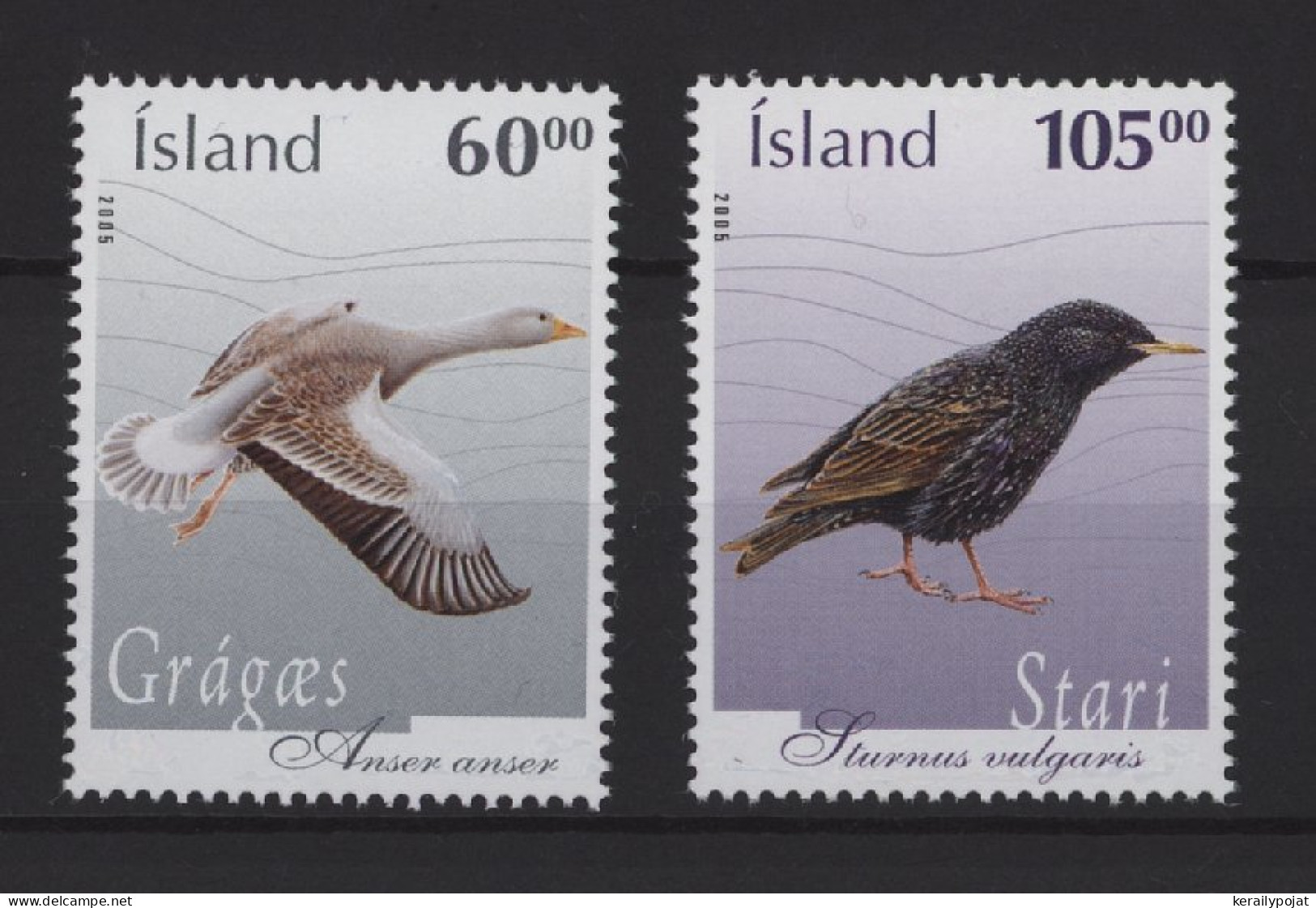 Iceland - 2005 Birds MNH__(TH-27183) - Neufs