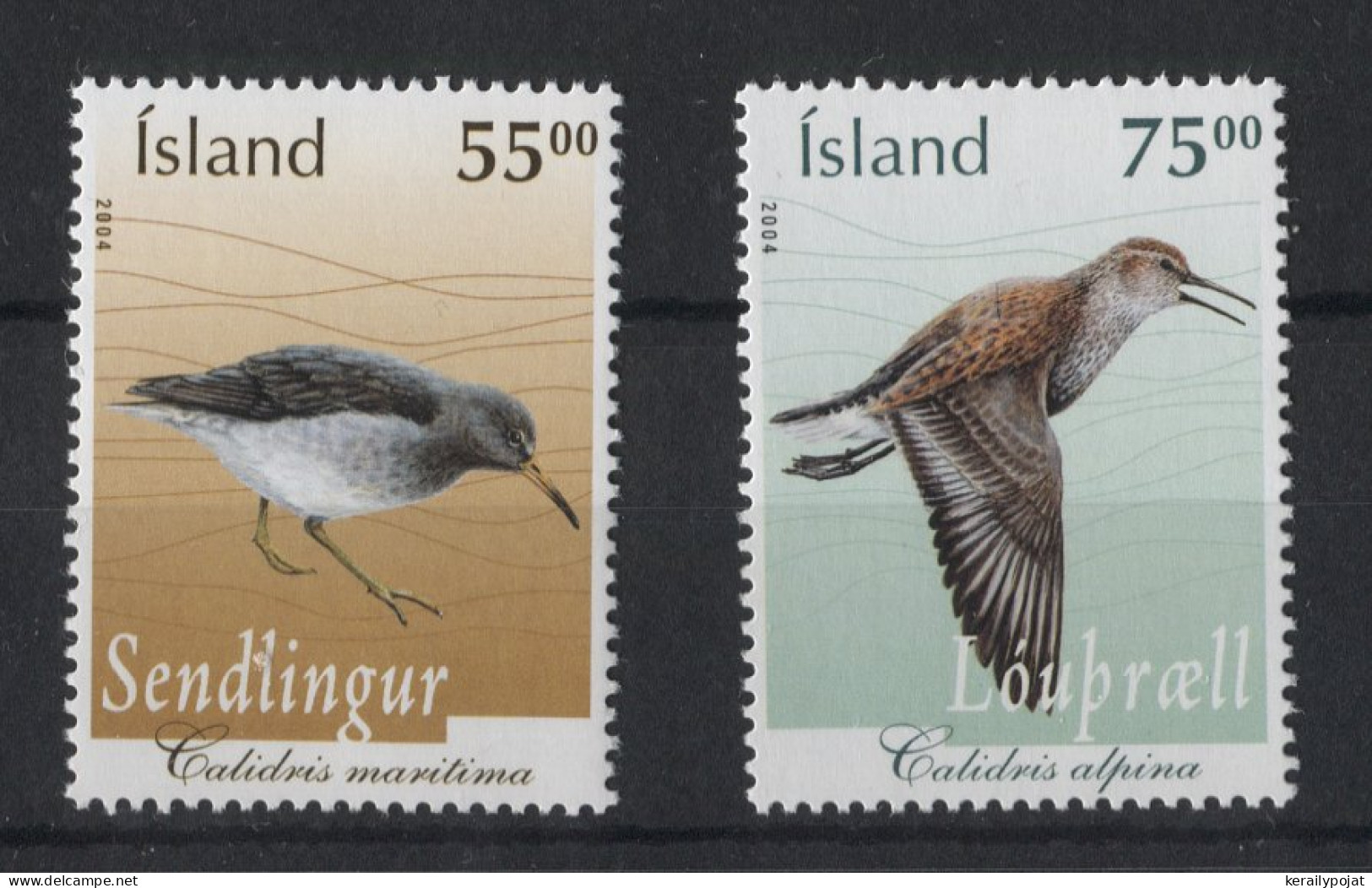 Iceland - 2004 Birds MNH__(TH-23072) - Nuovi