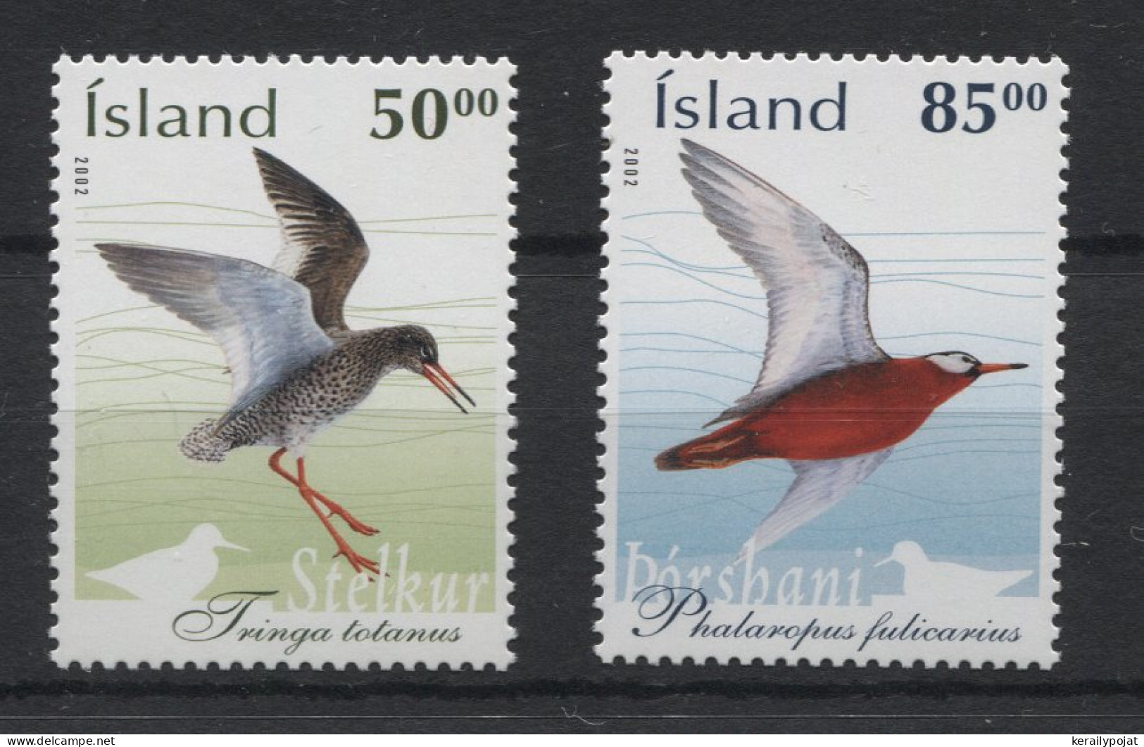 Iceland - 2002 Birds MNH__(TH-23071) - Unused Stamps