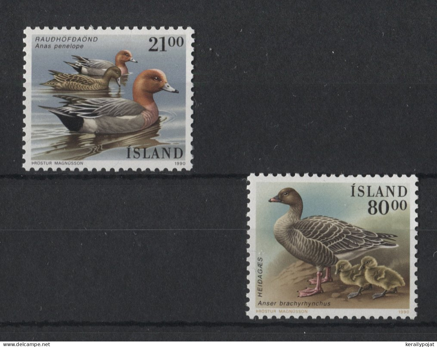 Iceland - 1990 Birds MNH__(TH-23086) - Ungebraucht