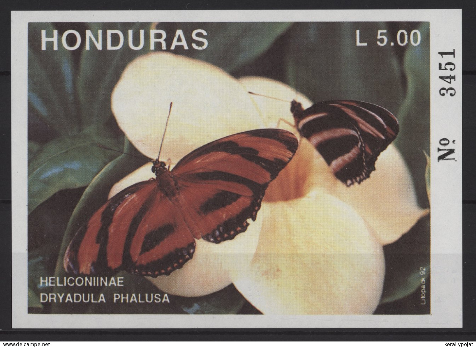 Honduras - 1992 Butterflies Block MNH__(TH-26783) - Honduras