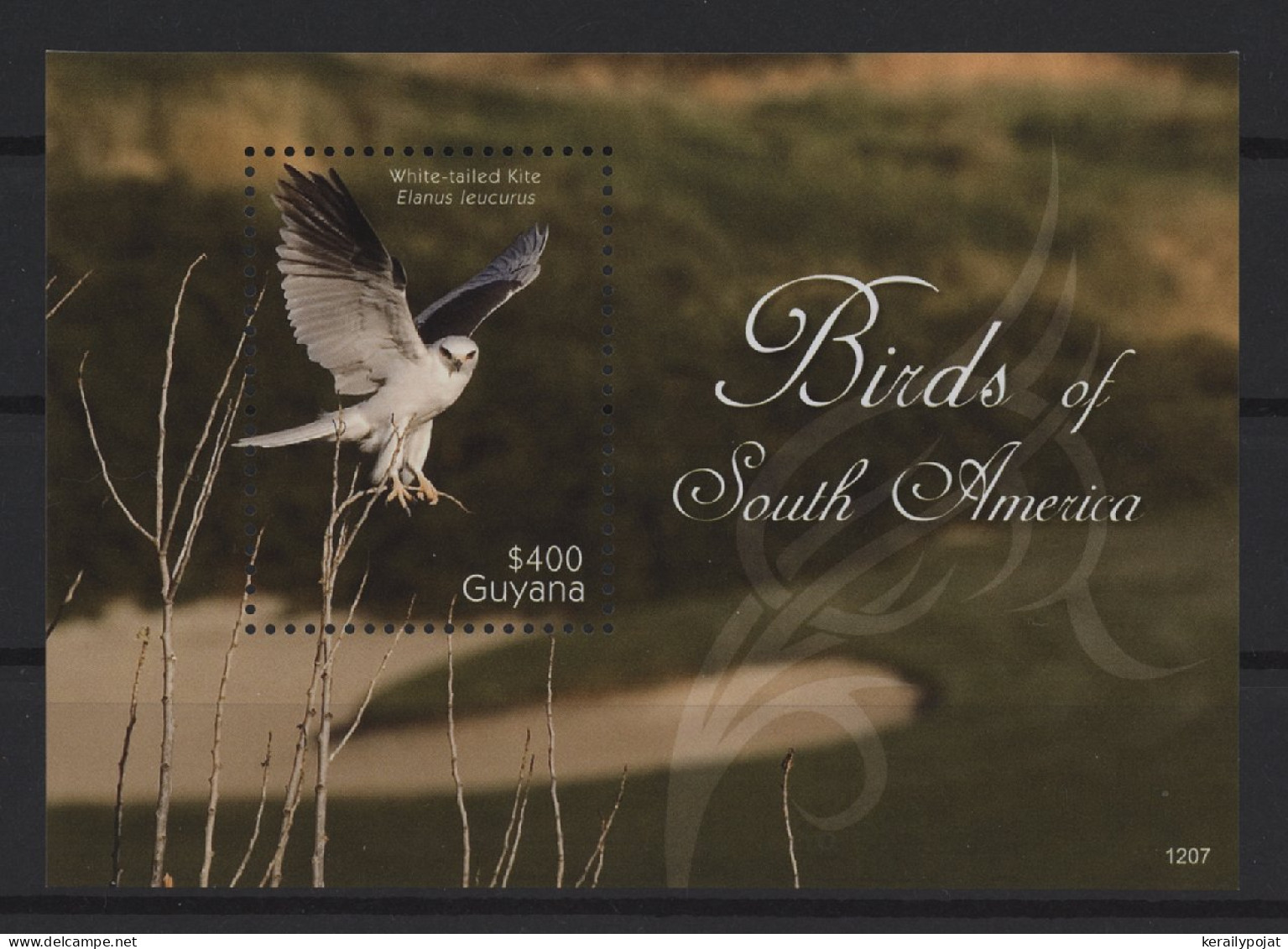 Guyana - 2012 Birds Of South America Block (1) MNH__(TH-27065) - Guyana (1966-...)