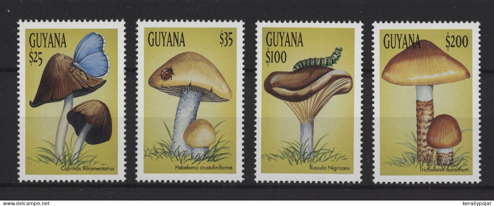 Guyana - 1999 Mushrooms MNH__(TH-25902) - Guyana (1966-...)