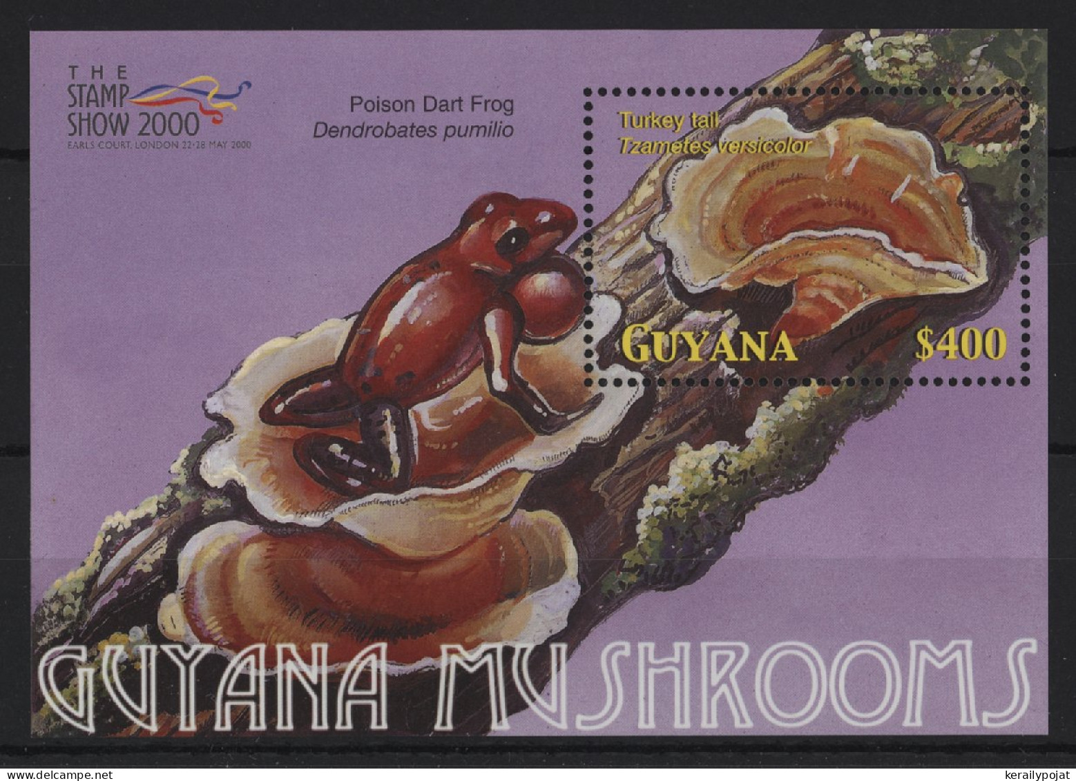 Guyana - 2000 Mushrooms Block (1) MNH__(TH-24369) - Guyana (1966-...)