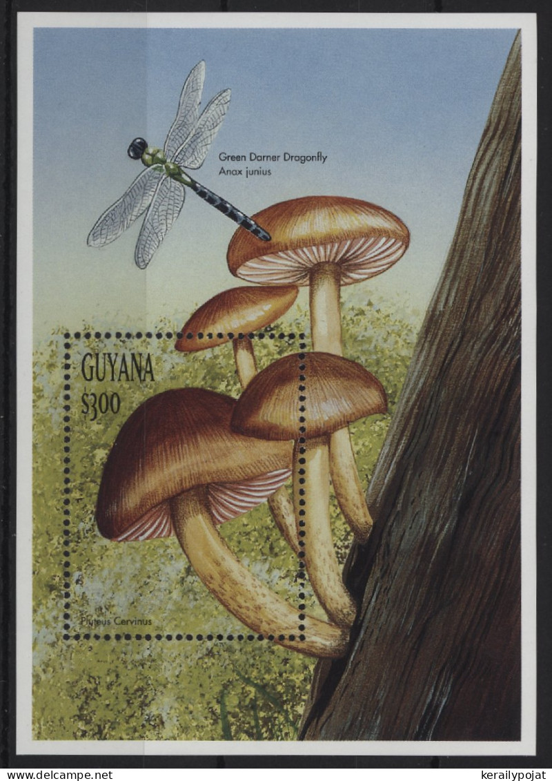 Guyana - 1999 Mushrooms Block (2) MNH__(TH-24370) - Guyana (1966-...)