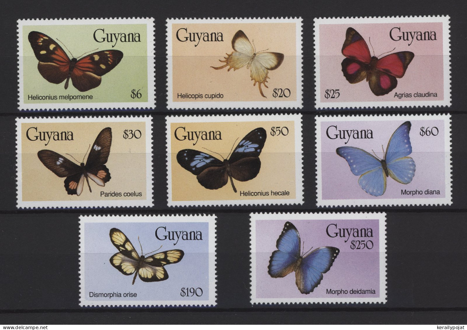 Guyana - 1994 Butterflies MNH__(TH-25189) - Guyana (1966-...)