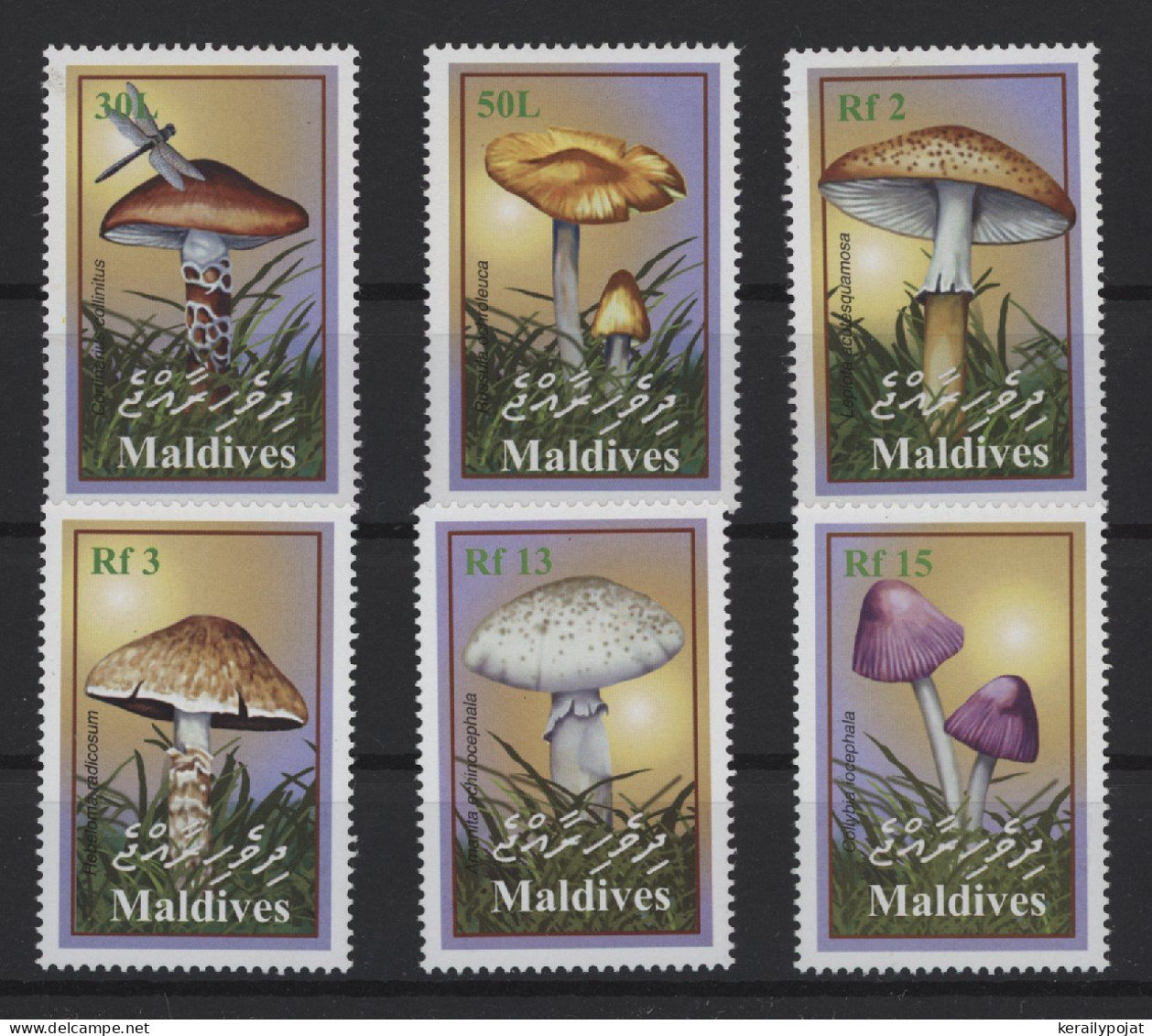 Maldives - 2001 Mushrooms MNH__(TH-24531) - Maldives (1965-...)