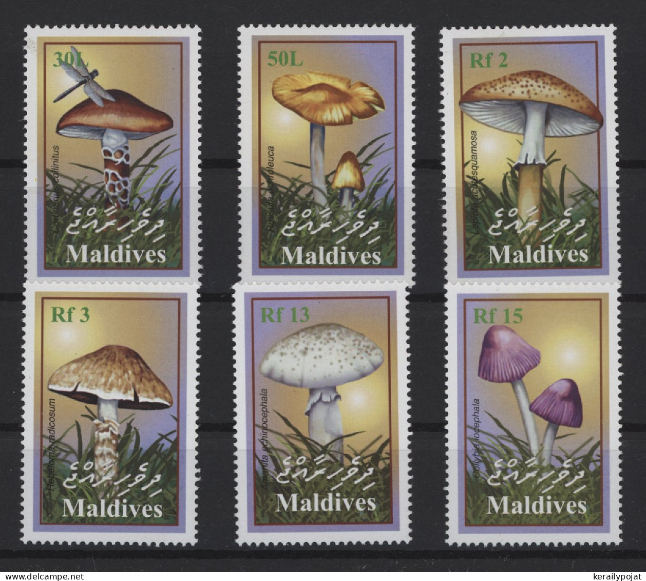 Maldives - 2001 Mushrooms MNH__(TH-24531) - Maldivas (1965-...)