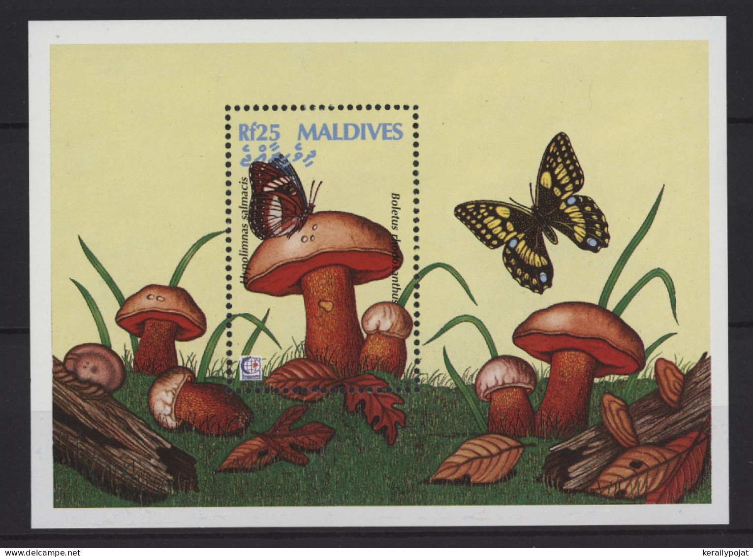 Maldives - 1995 Mushrooms Block (1) MNH__(TH-26806) - Maldives (1965-...)