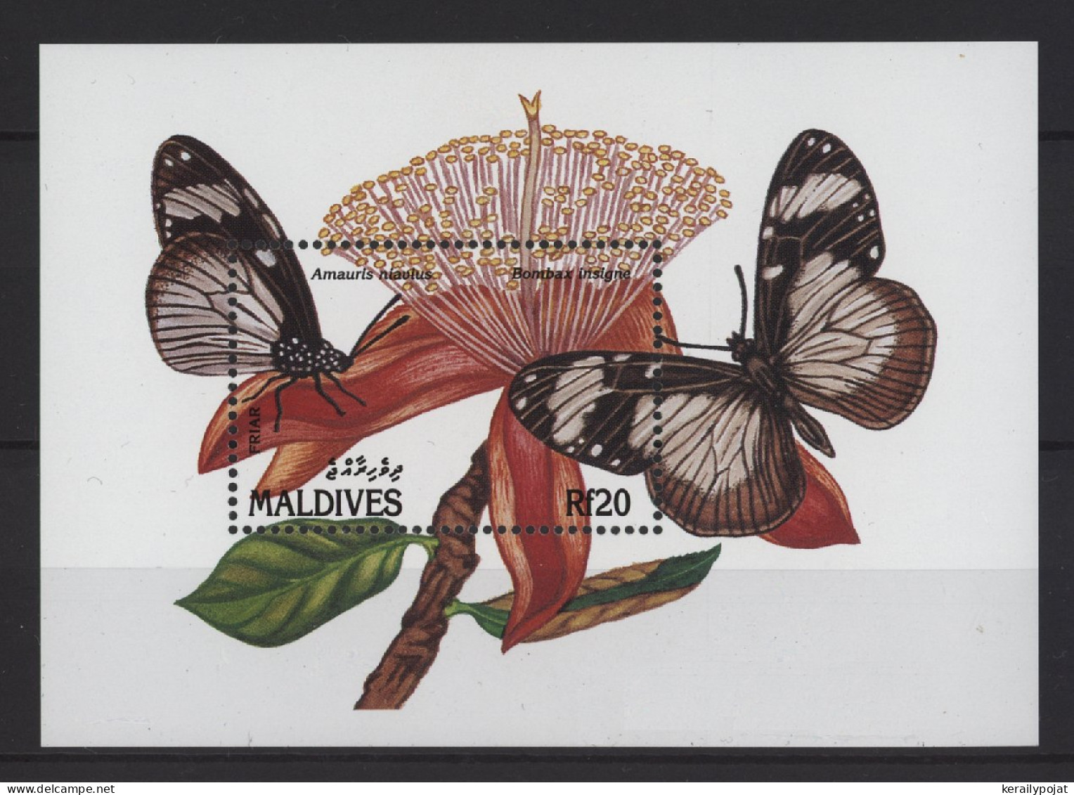 Maldives - 1991 Butterflies Block (2) MNH__(TH-26804) - Maldives (1965-...)