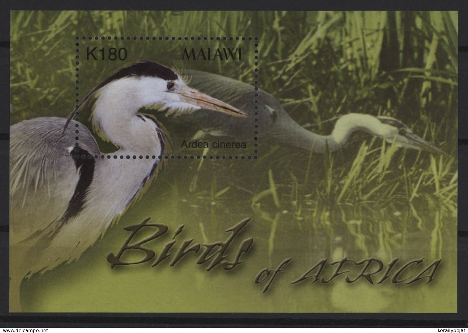 Malawi - 2003 Birds Of Africa Block MNH__(TH-27284) - Malawi (1964-...)