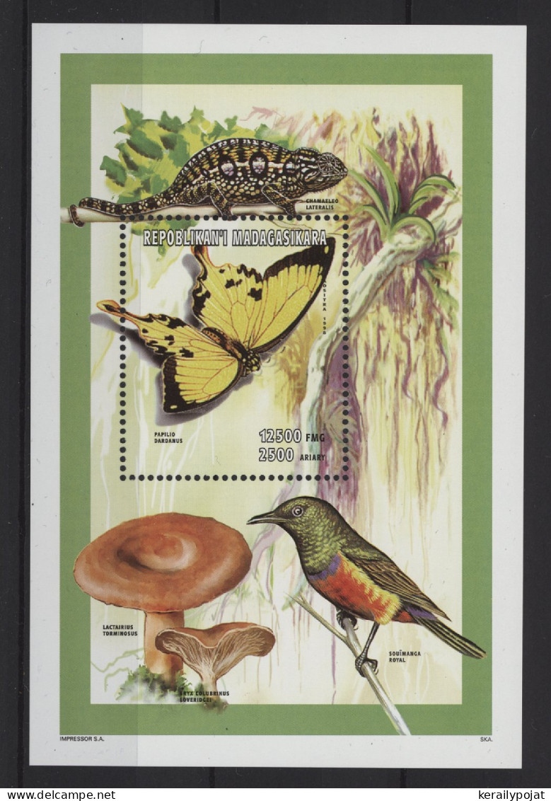 Madagascar - 1998 Natural History Block (1) MNH__(TH-26850) - Madagaskar (1960-...)