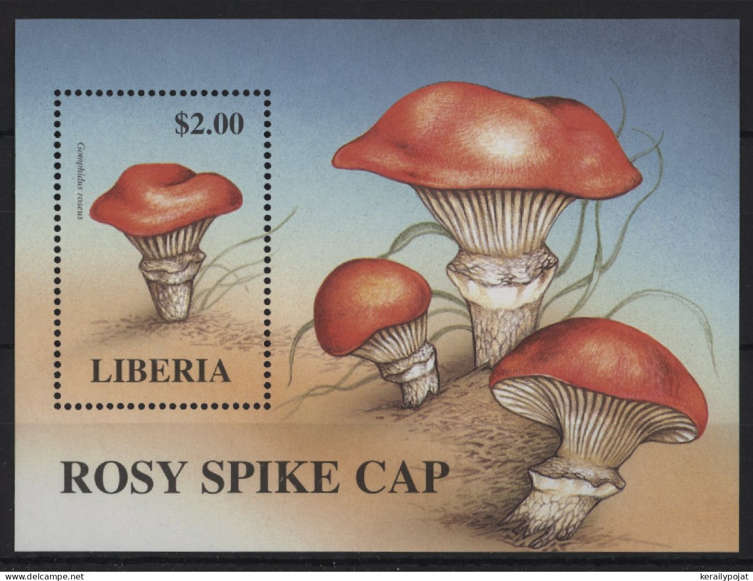 Liberia - 1998 Mushrooms Block (1) MNH__(TH-24354) - Liberia
