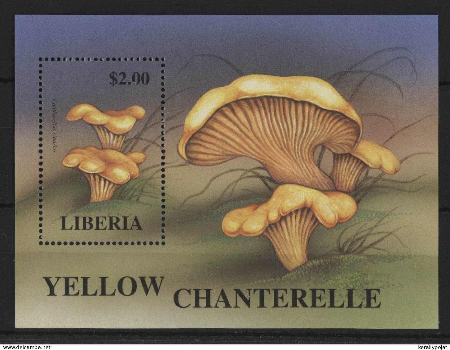 Liberia - 1998 Mushrooms Block (3) MNH__(TH-24356) - Liberia