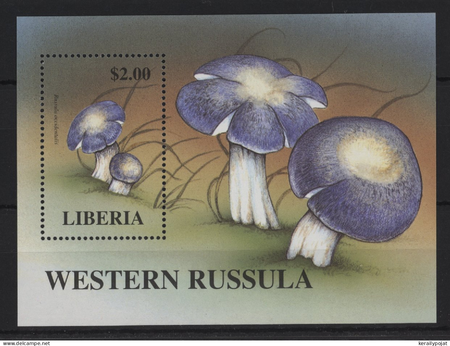 Liberia - 1998 Mushrooms Block (2) MNH__(TH-24355) - Liberia