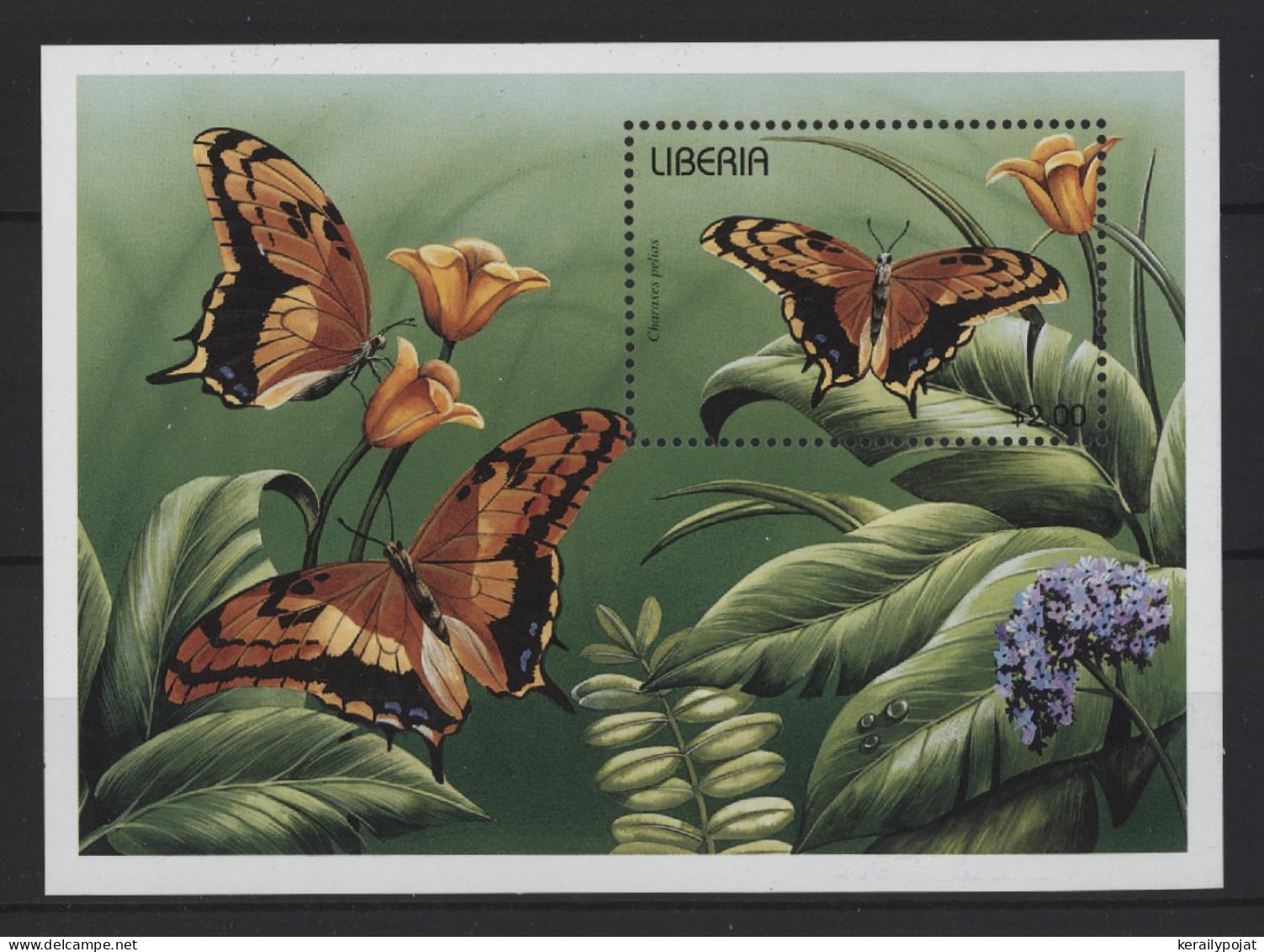 Liberia - 1996 Butterflies (II) Block MNH__(TH-26849) - Liberia