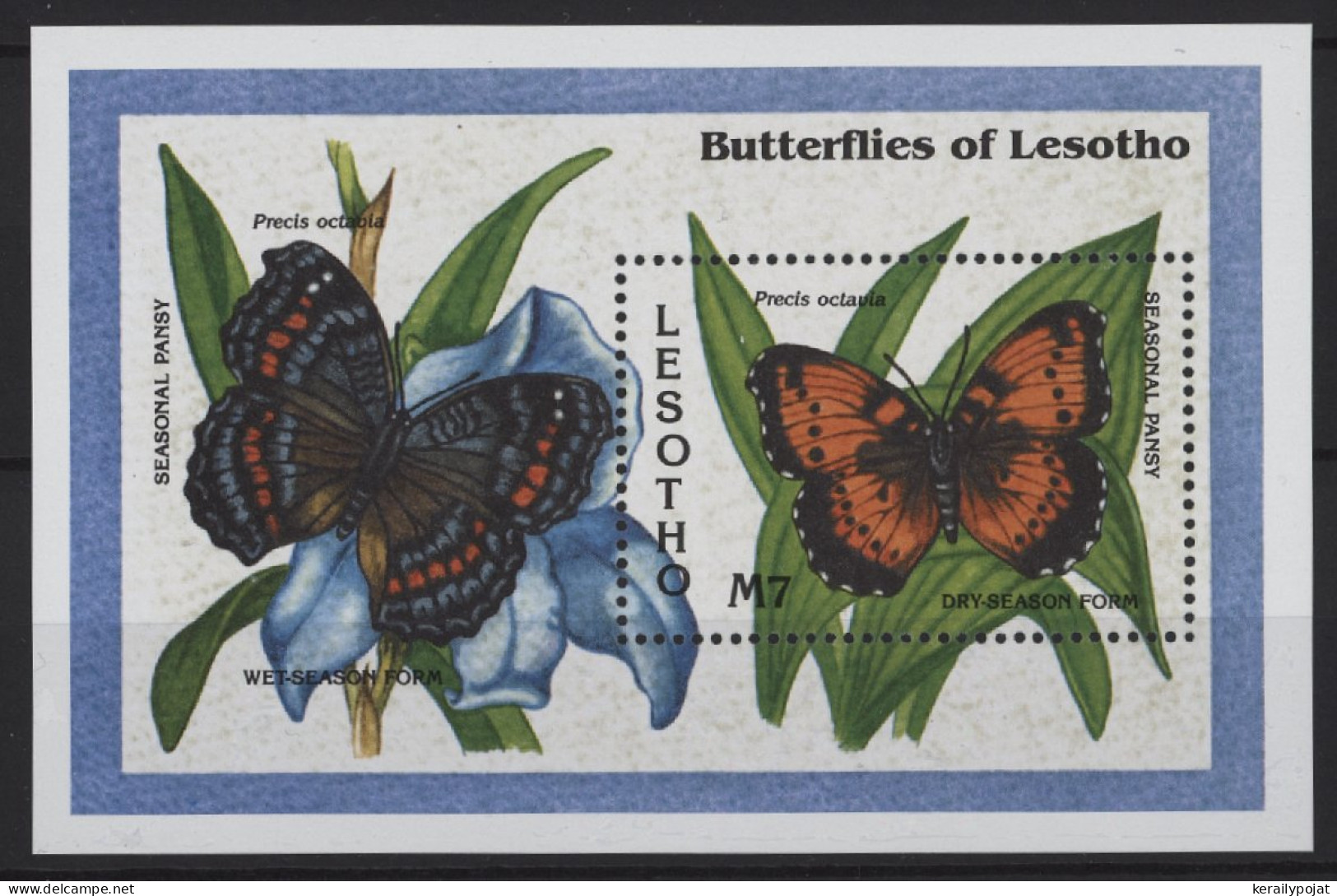 Lesotho - 1993 Butterflies Block (2) MNH__(TH-26846) - Lesotho (1966-...)