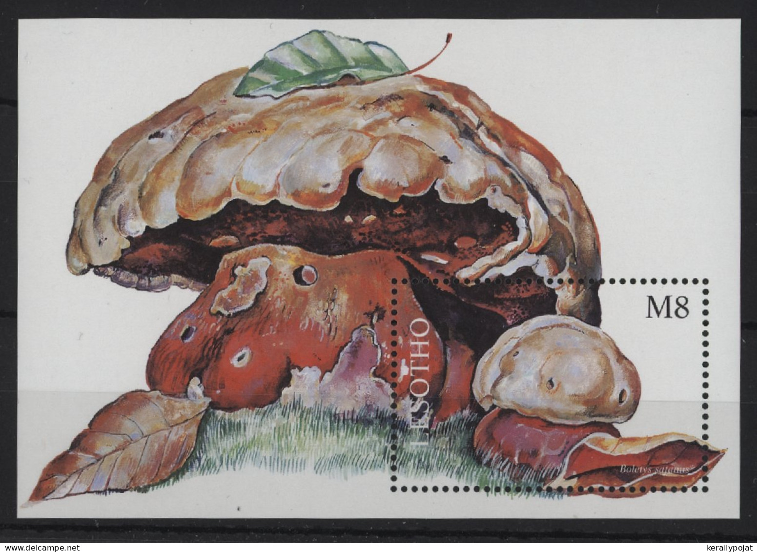 Lesotho - 1998 Mushrooms Block (1) MNH__(TH-24362) - Lesotho (1966-...)