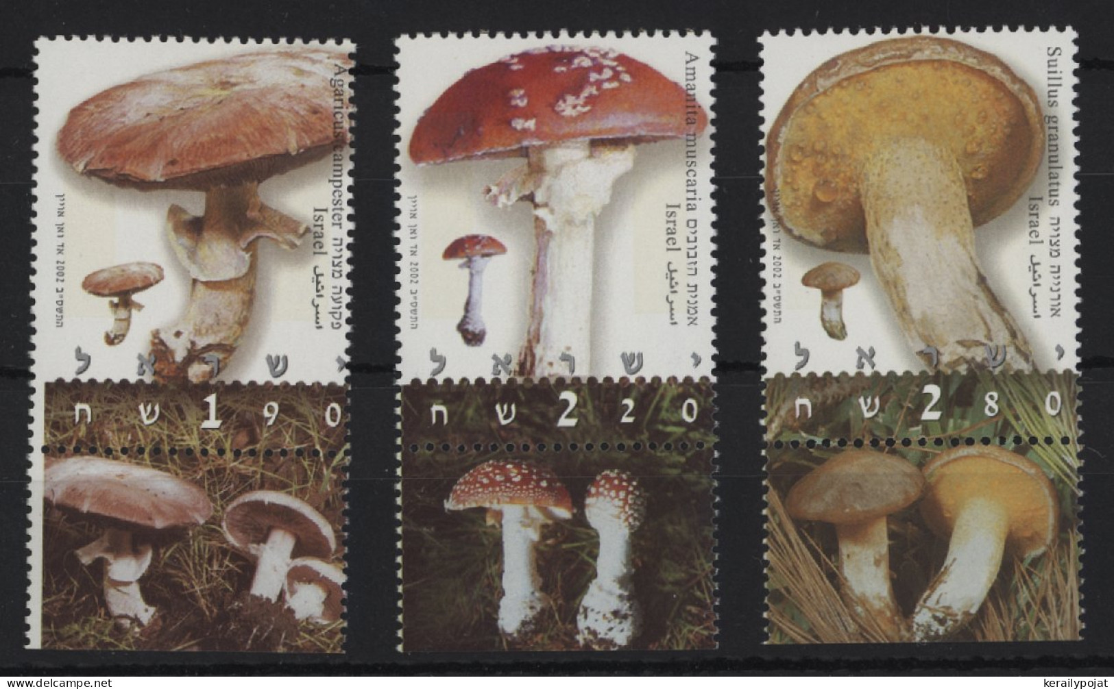 Israel - 2002 Mushrooms MNH__(TH-24403) - Nuevos (con Tab)