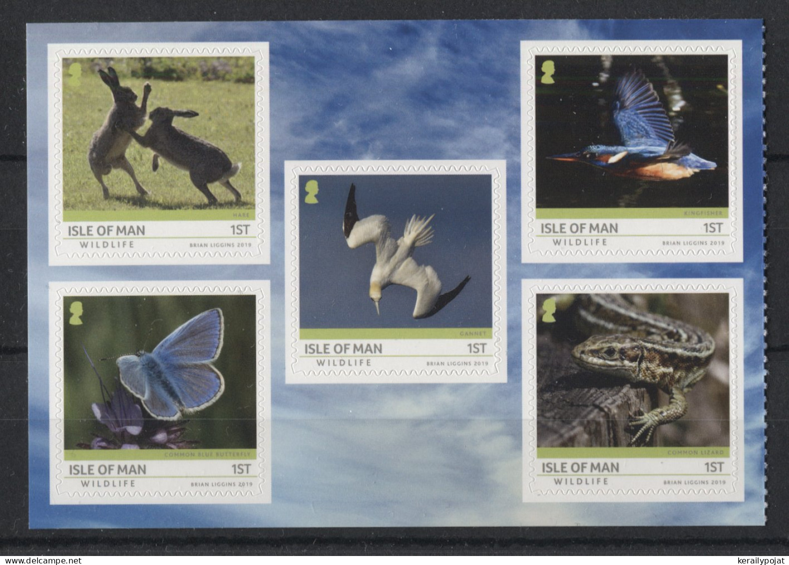 Isle Of Man - 2019 Fauna On Isle Of Man Booklet Stamps MNH__(TH-23060) - Isola Di Man