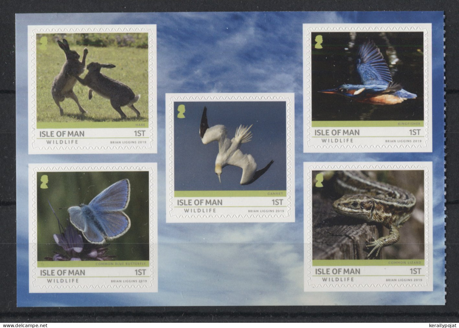 Isle Of Man - 2019 Fauna On Isle Of Man Booklet Stamps MNH__(TH-23060) - Man (Eiland)