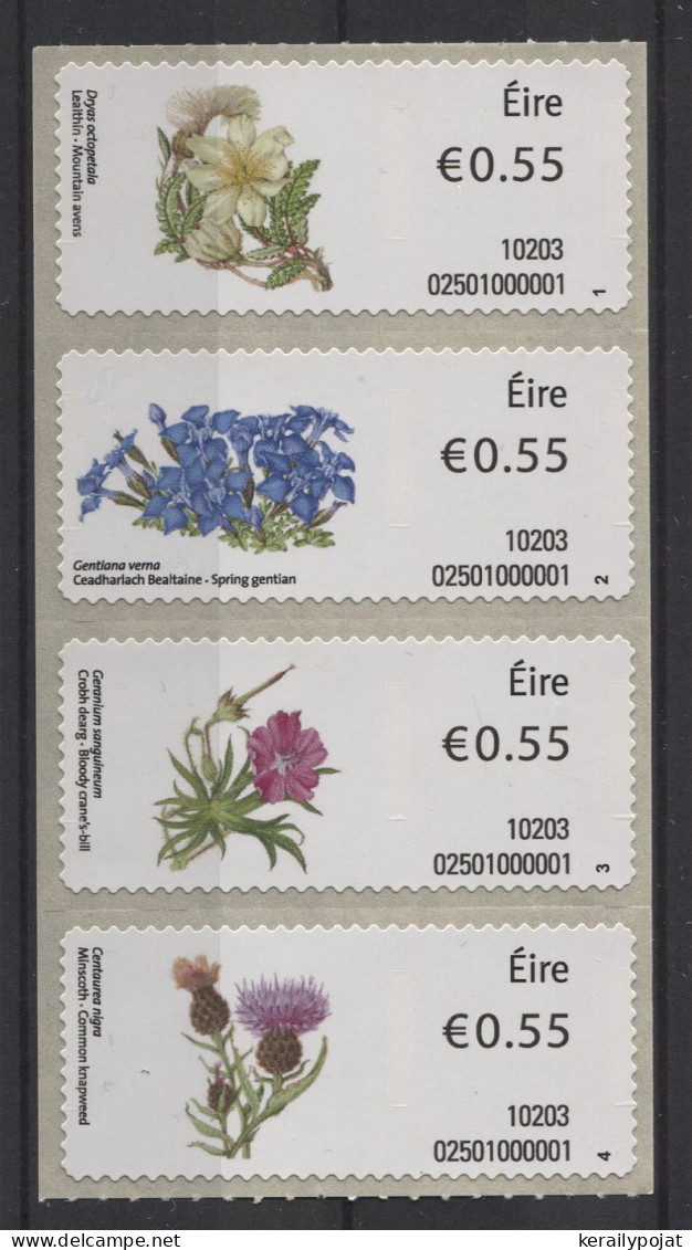 Ireland - 2010 Wildflowers (machine) MNH__(TH-26372) - Neufs