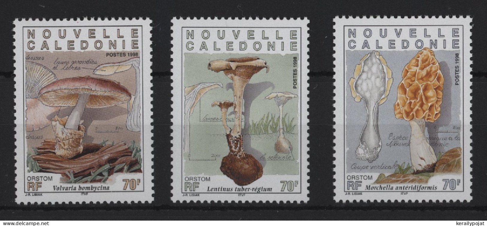 New Caledonia - 1998 Mushrooms MNH__(TH-24371) - Ungebraucht