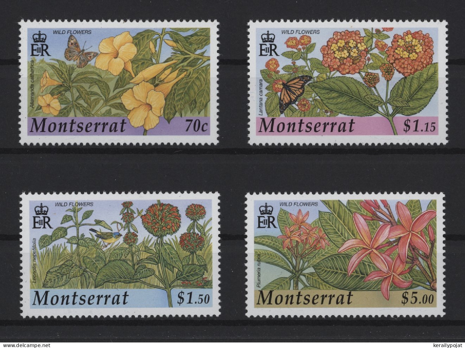 Montserrat - 2002 Native Flora MNH__(TH-26929) - Montserrat