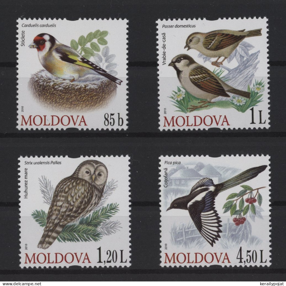 Moldova - 2010 Birds MNH__(TH-27018) - Moldova