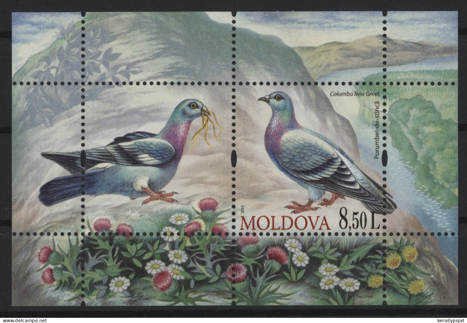 Moldova - 2010 Birds Block MNH__(TH-27019) - Moldavie