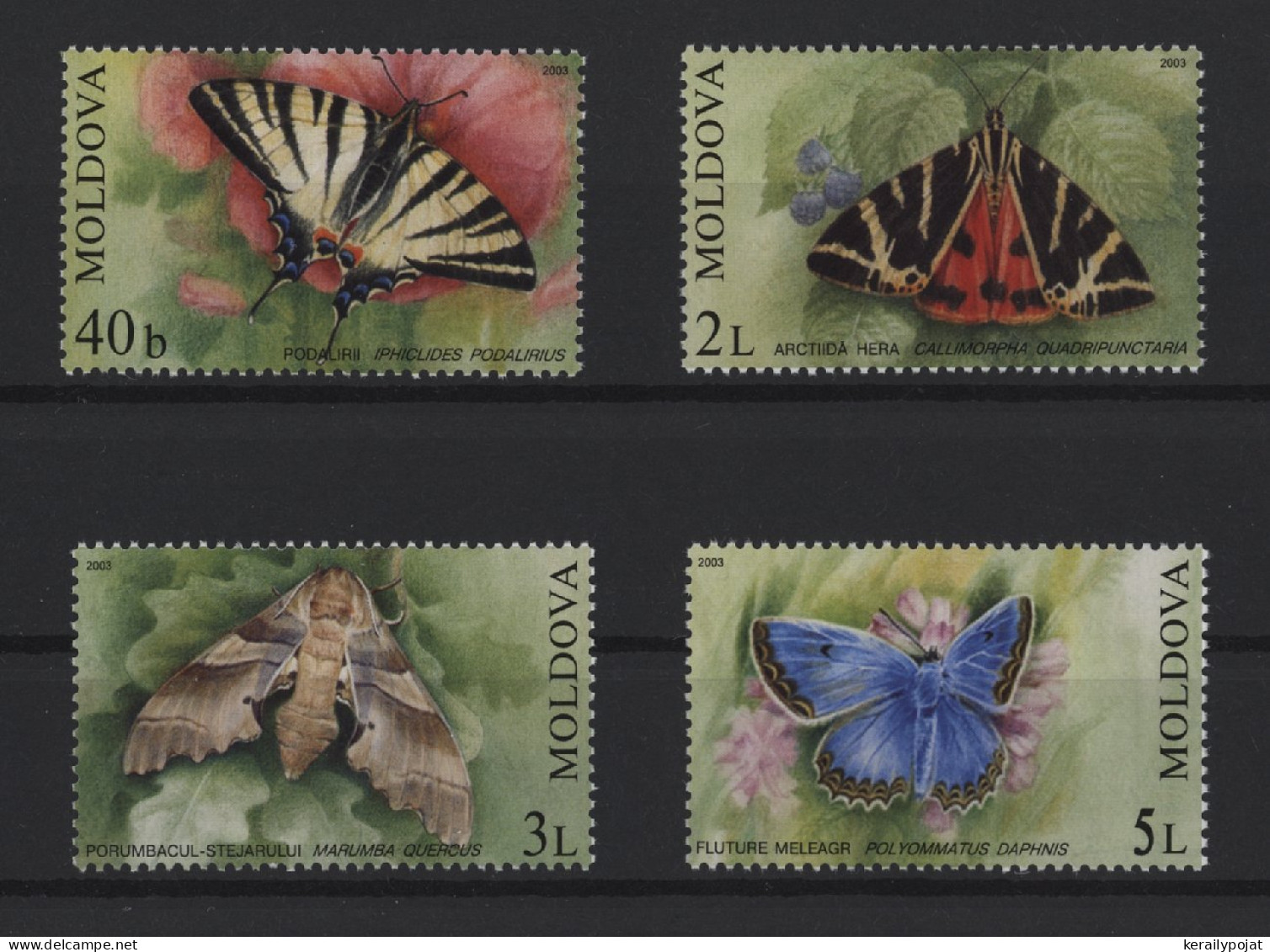 Moldova - 2003 Butterflies MNH__(TH-26925) - Moldavie