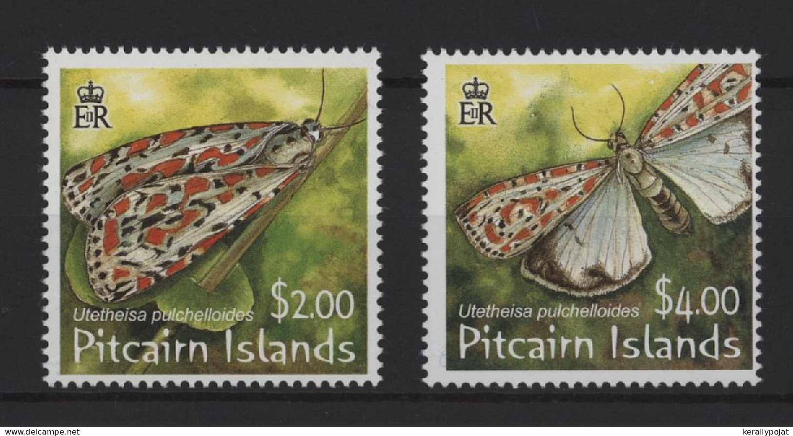 Pitcairn Islands - 2007 Butterflies MNH__(TH-26948) - Pitcairninsel